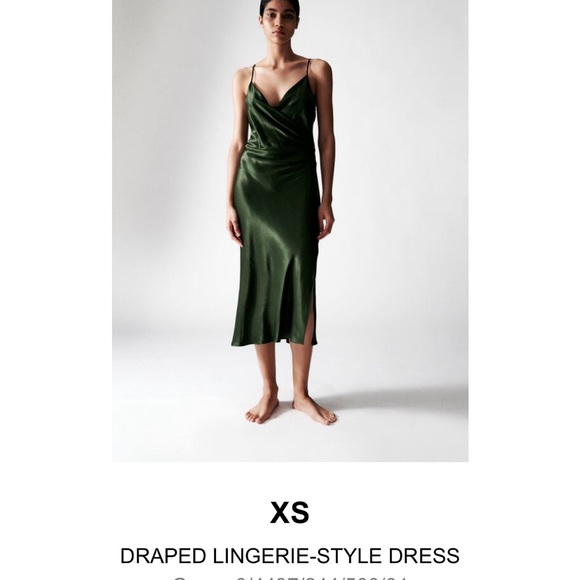 Zara Dress - Picture 3 of 6